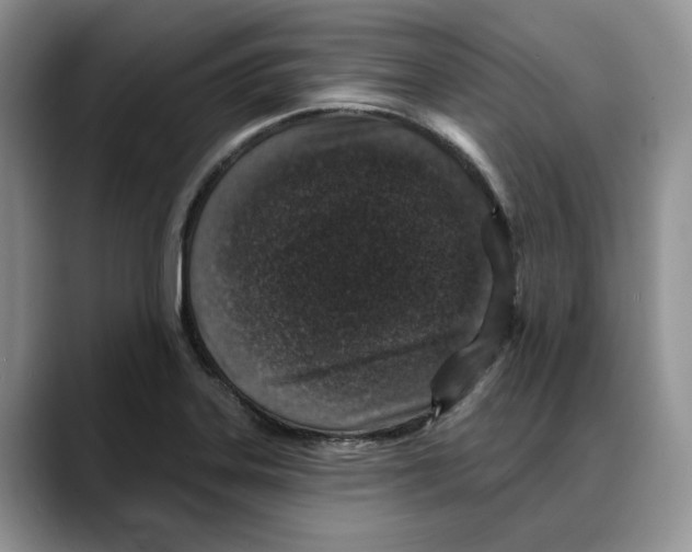 X0000088021323200706081433