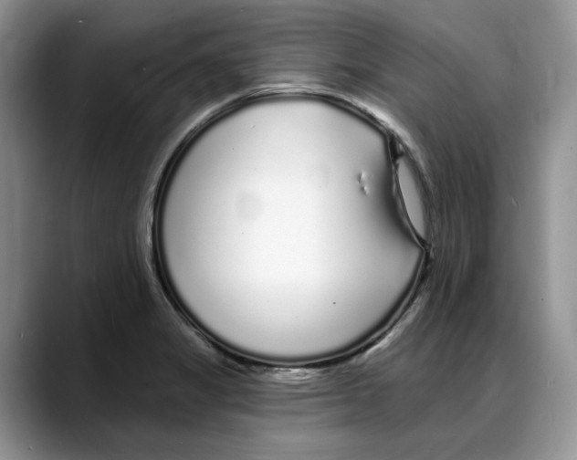 X0000088021325200706081433