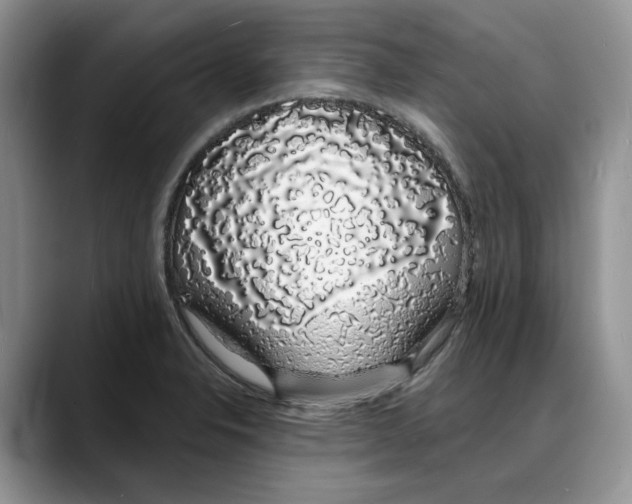 X0000088021326200706081433