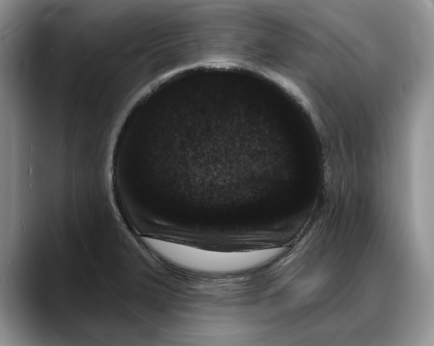 X0000088021327200706081433