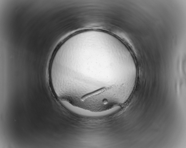 X0000088021328200706081433