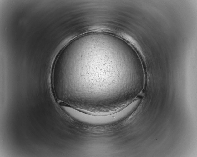 X0000088021330200706081433