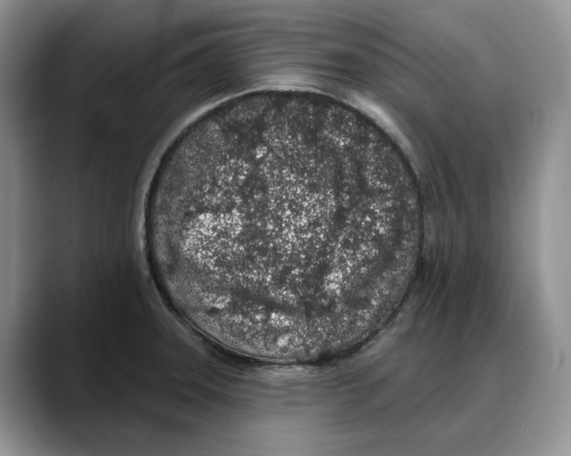 X0000088021331200706081433