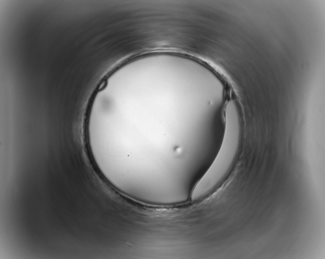 X0000088021333200706081433