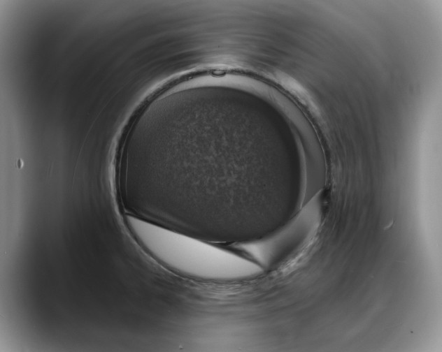 X0000088021334200706081433