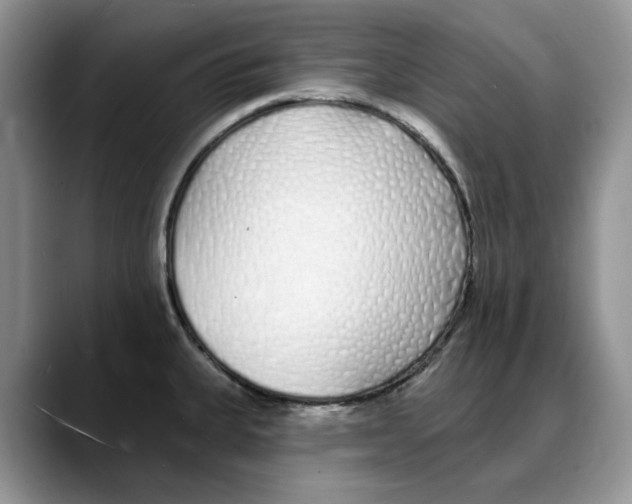 X0000088021335200706081433