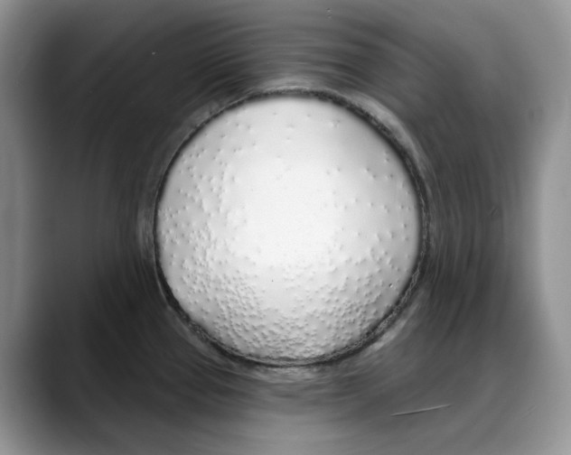 X0000088021337200706081433