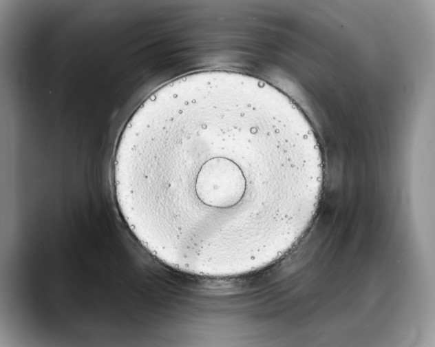 X0000088021338200706081433