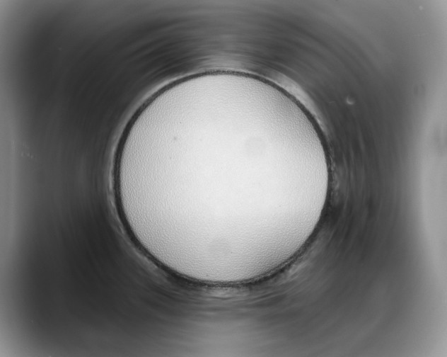 X0000088021339200706081433