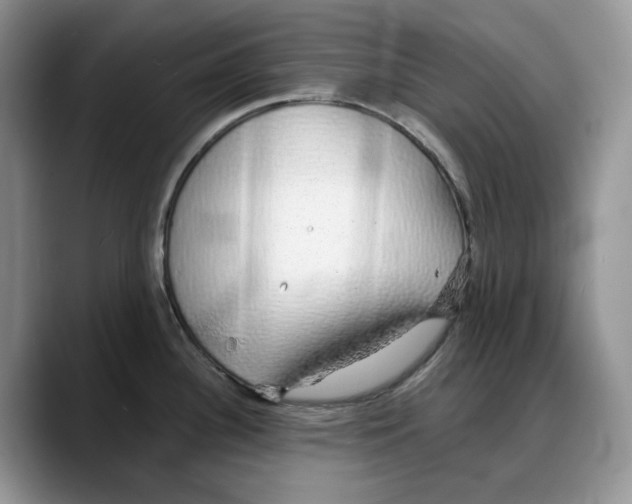 X0000088021340200706081434