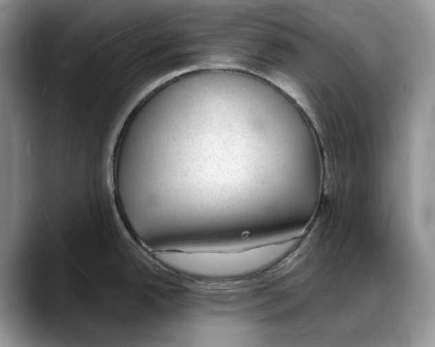 X0000088021342200706081434