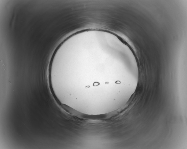 X0000088021343200706081434