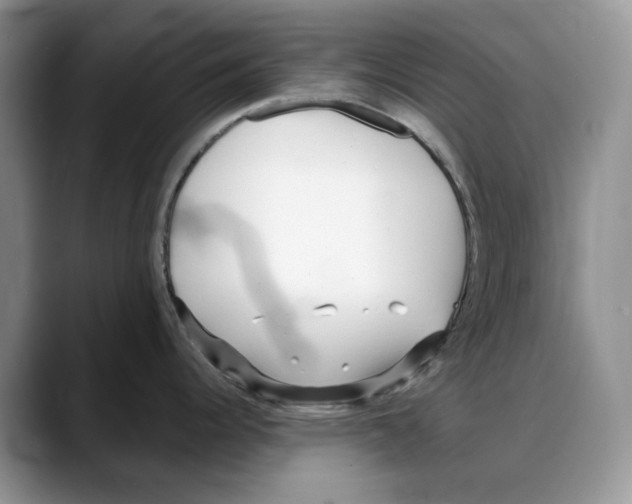 X0000088021344200706081434