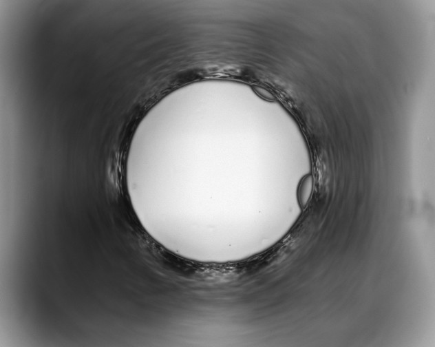 X0000088021346200706081433