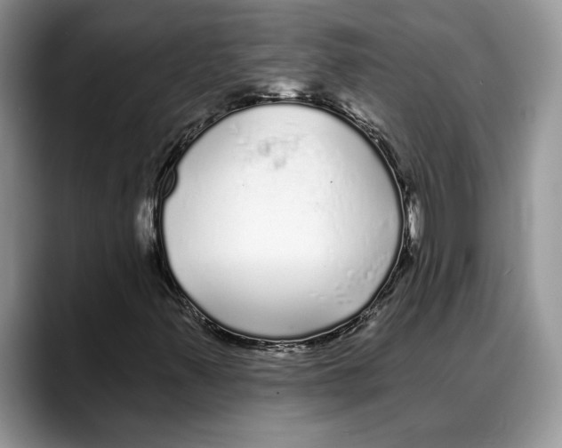 X0000088021347200706081433