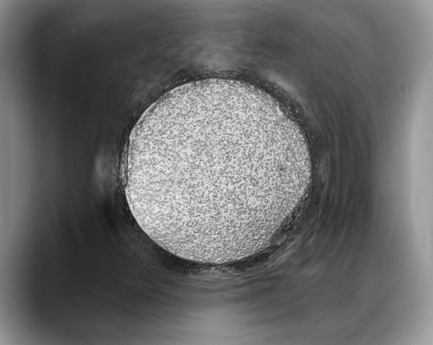 X0000088021348200706081433