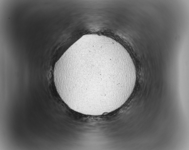 X0000088021349200706081433