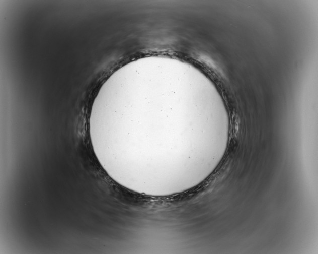 X0000088021350200706081433