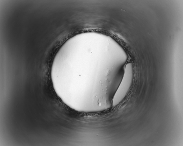 X0000088021351200706081433