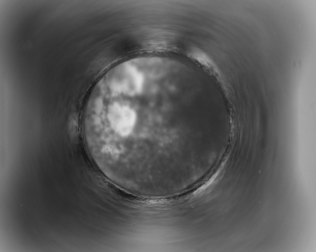 X0000088021353200706081433