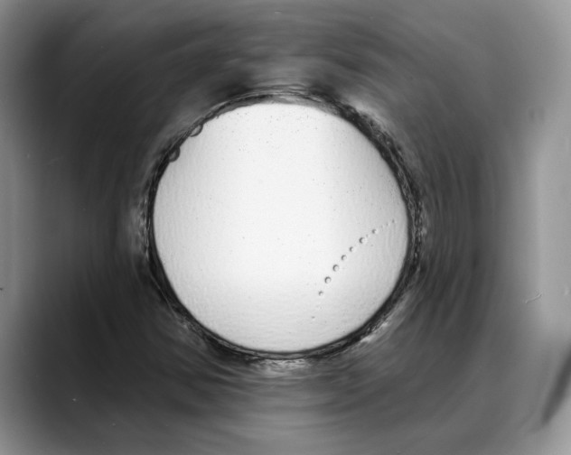 X0000088021354200706081433