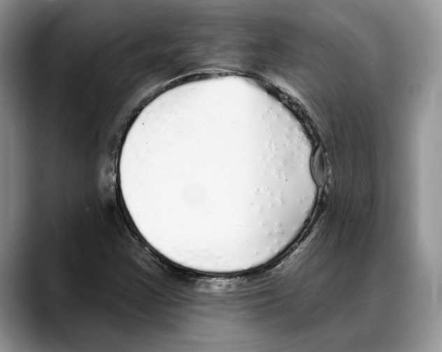 X0000088021355200706081433