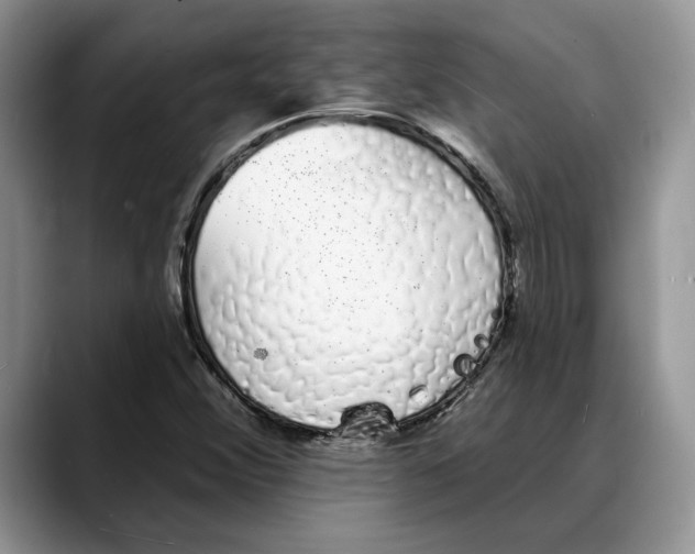 X0000088021356200706081433