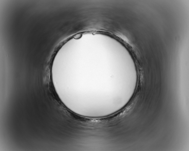 X0000088021358200706081433