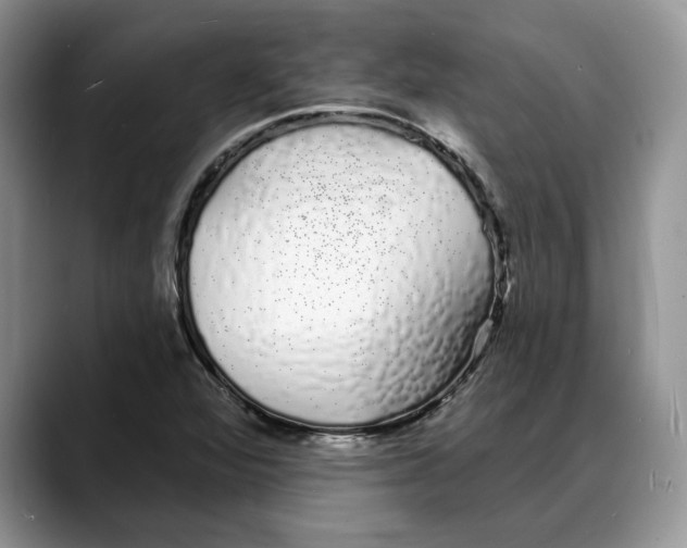 X0000088021360200706081433