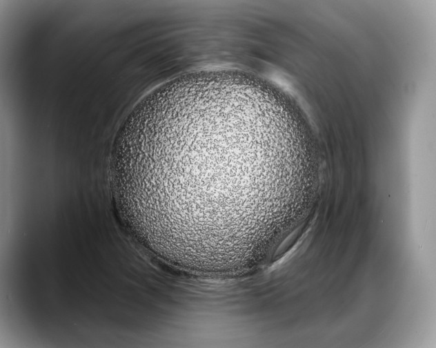 X0000088021361200706081433