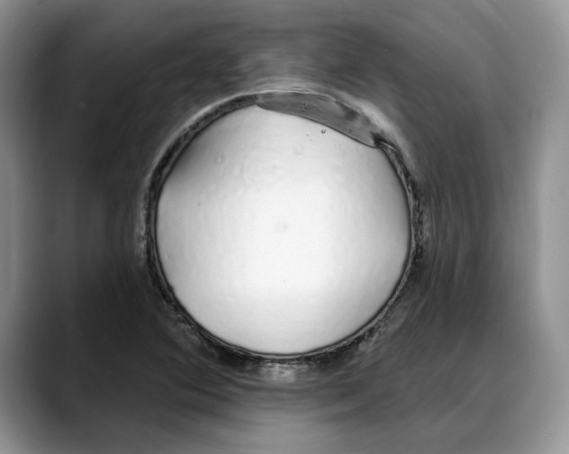 X0000088021364200706081433