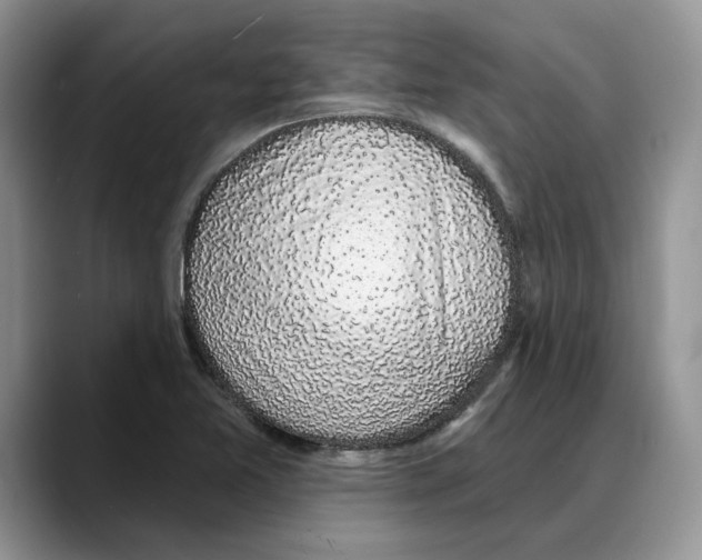 X0000088021365200706081433