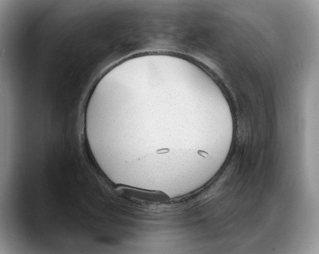 X0000088021366200706081433