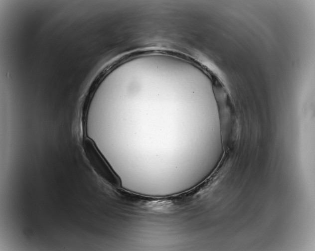 X0000088021368200706081433