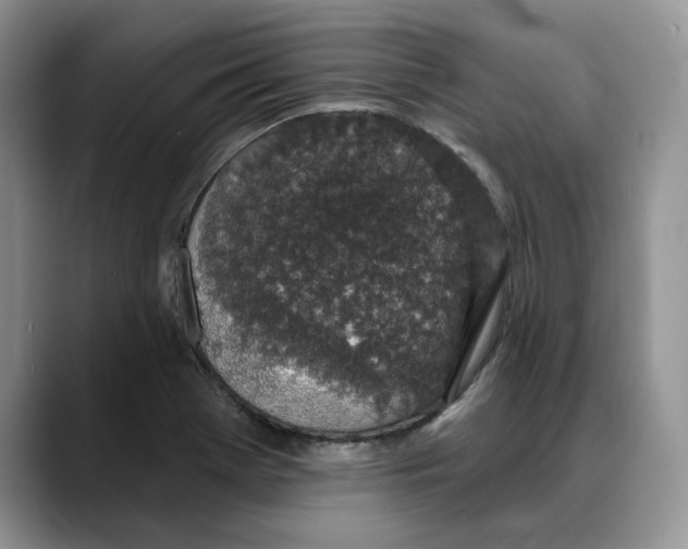 X0000088021369200706081433