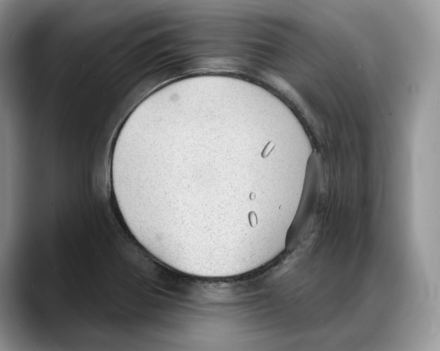 X0000088021370200706081433