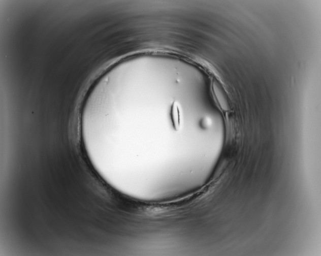 X0000088021371200706081433