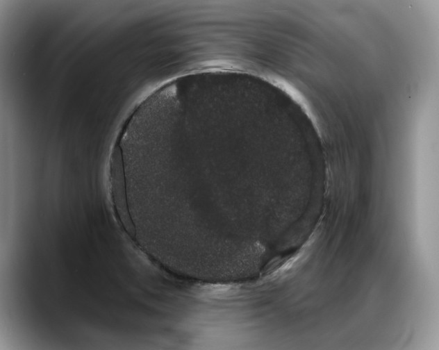 X0000088021373200706081433