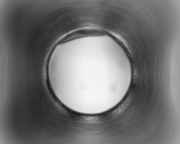 X0000088021375200706081433