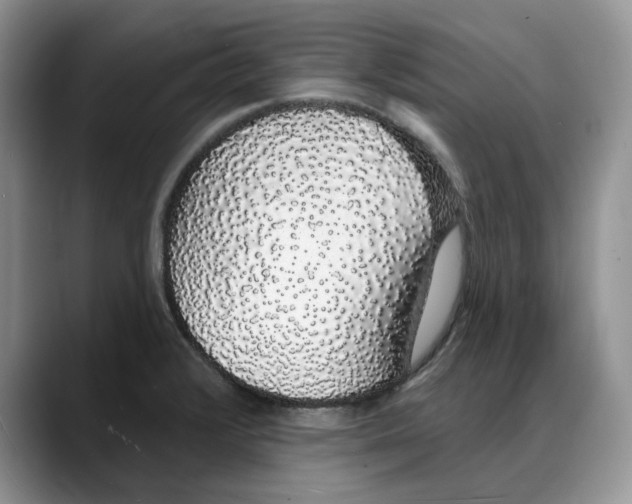 X0000088021376200706081433