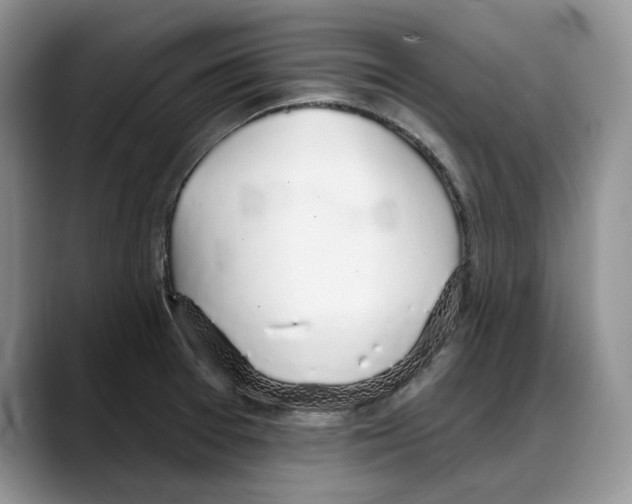 X0000088021377200706081433