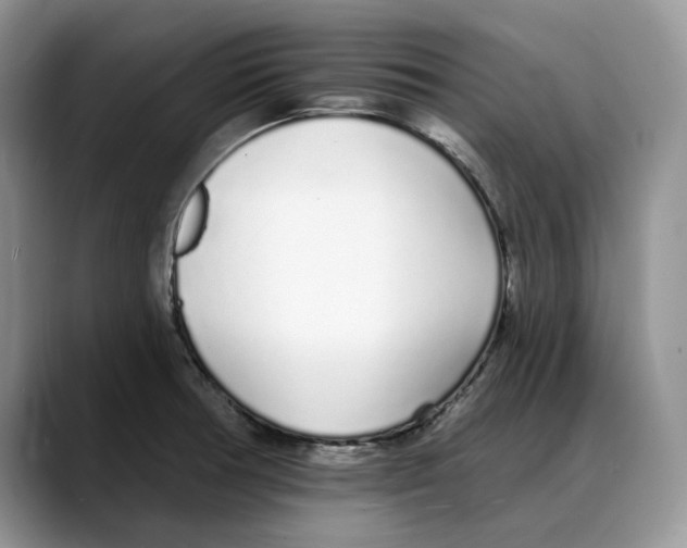 X0000088021378200706081433