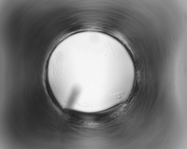 X0000088021379200706081432