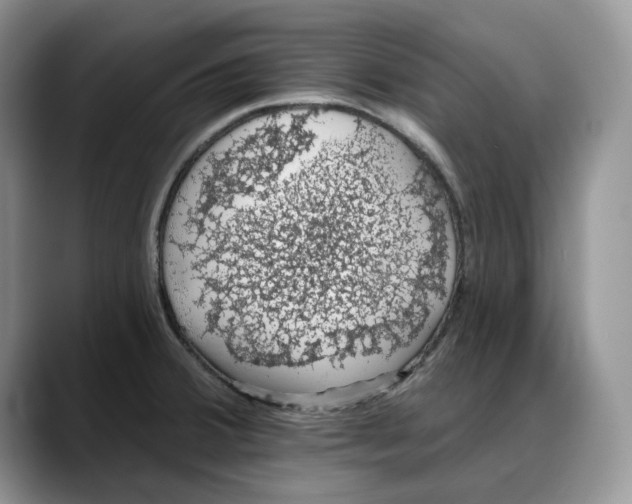 X0000088021380200706081432