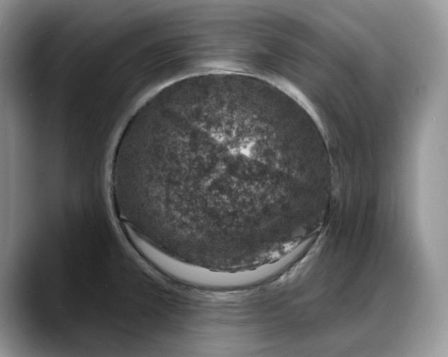 X0000088021381200706081432