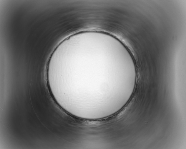 X0000088021382200706081432