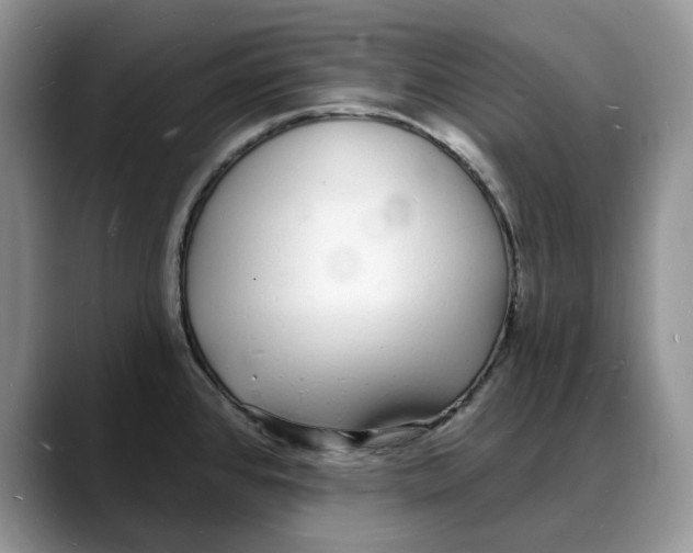 X0000088021384200706081432