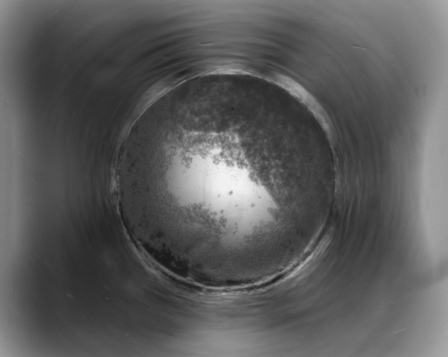 X0000088021385200706081432