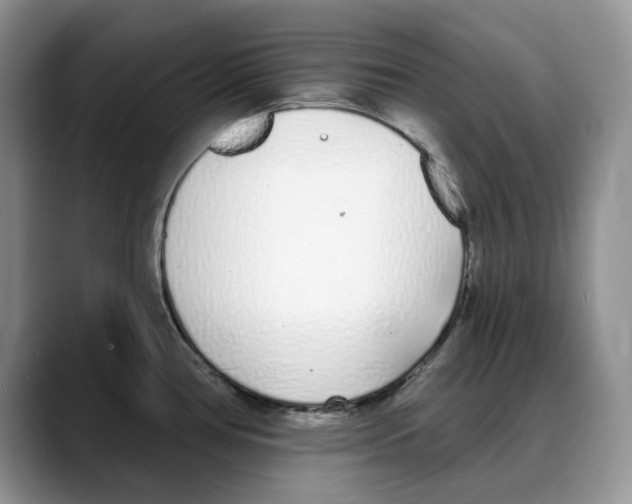 X0000088021386200706081432