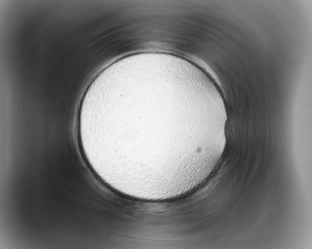 X0000088021387200706081432